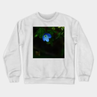 Blue Persian Speedwell Flower Crewneck Sweatshirt